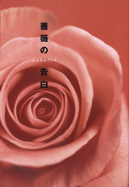 Rose 028