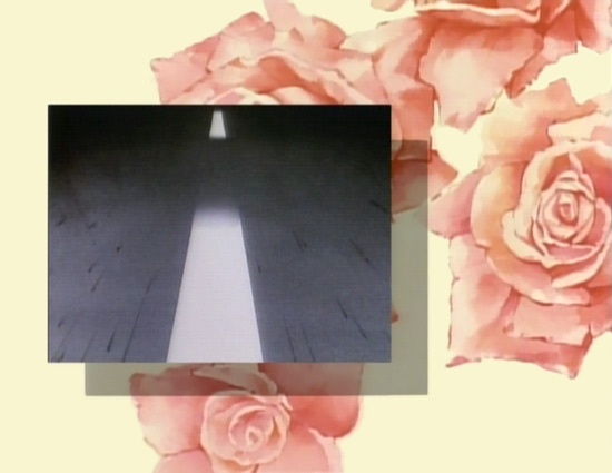 Virtual Star Embryology (Alt) 002