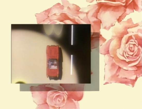 Virtual Star Embryology (Alt) 008