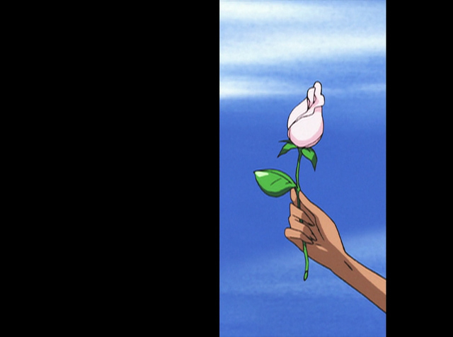 Virtual Star Embryology 08