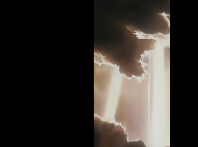 Virtual Star Embryology 41