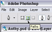 The paths function of the pen tool.