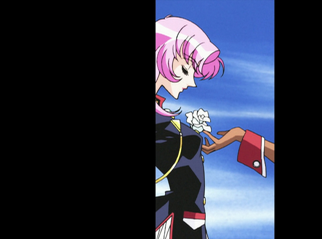 Virtual Star Embryology 17