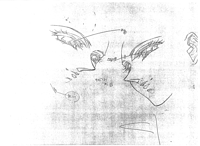 Utena-Movie Prod-Mat Kiss Genga 03 C01 Faces