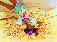 Rinbu Revolution 042